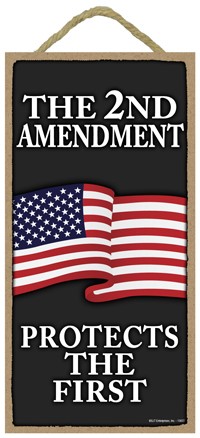 The 2nd Amendment - Protects the First (vertical) 5" x 10" wood plaque/sign 13822