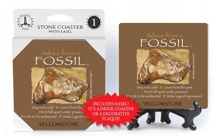 Fossil / Advice From - 4" x 4" table coaster - 1 per pack with easel - offi... 16140