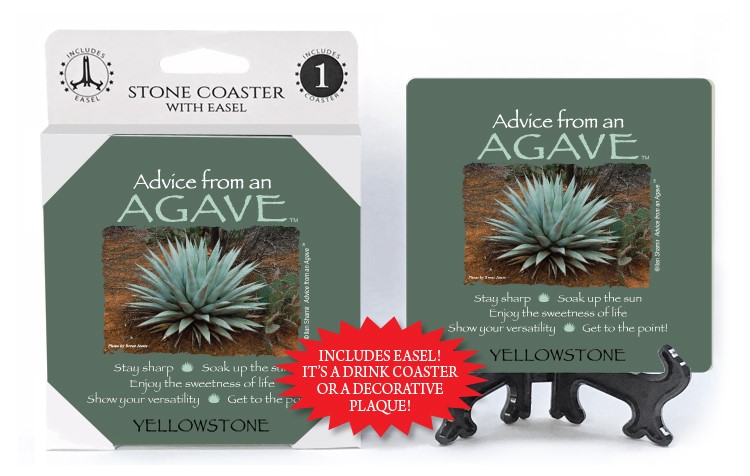 Agave / Advice From - 4" x 4" table coaster - 1 per pack with easel - offic… 16284