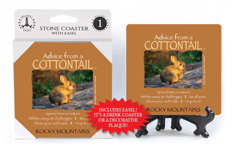 Cottontail / Advice From - 4" x 4" table coaster - 1 per pack with easel - … 16289