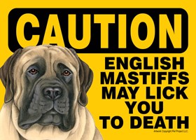 Caution - English Mastiffs may lick you to death. PLURAL Express Yourself Signs 49830