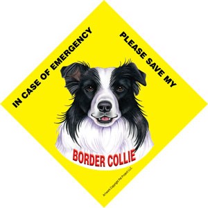 In Case of Emergency Please Save my Border Collie / Save My Pet signs with … 43611