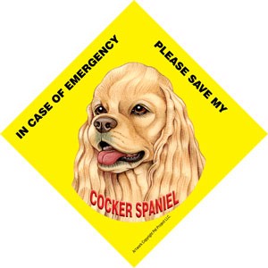 In Case of Emergency Please Save my Cocker Spaniel (American, tan color) / … 43622