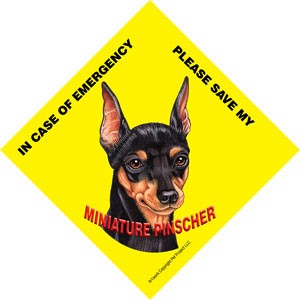 In Case of Emergency Please Save my Miniature Pinscher / Save My Pet signs … 43642