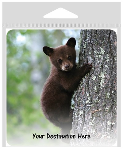 Bear cub on a tree large sticker. LS00290