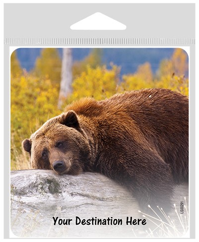 Bear laying on a log large sticker. LS00291