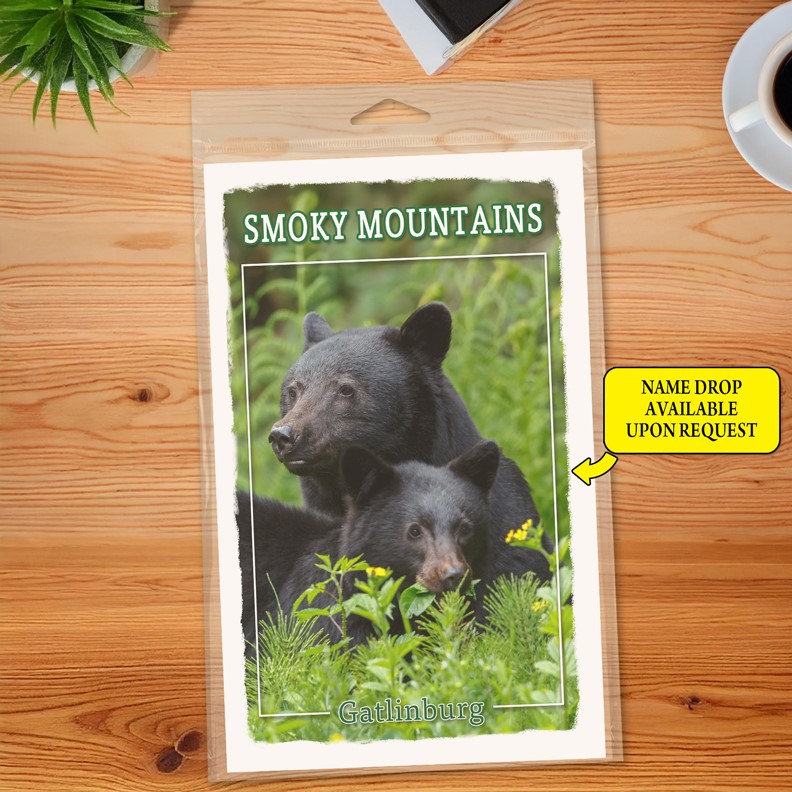 Black bears (2) Journal  5.5" x 8.5" Booklet 69309