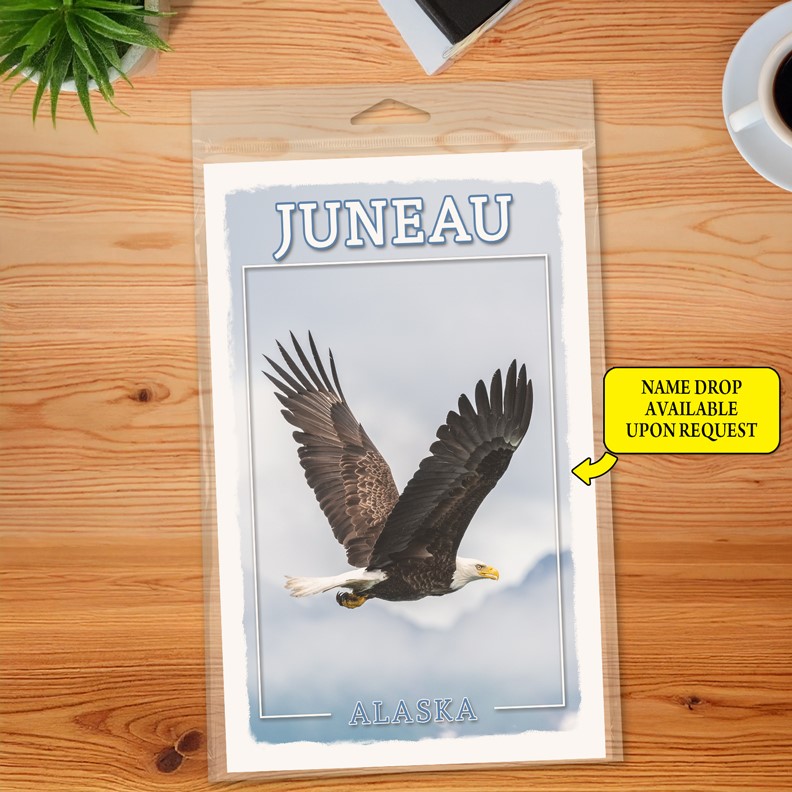 Eagle flying Journal  5.5" x 8.5" Booklet 69311