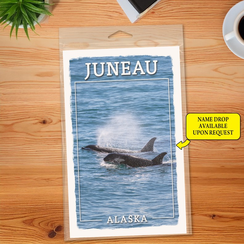 Orca whales (2) Journal  5.5" x 8.5" Booklet 69319