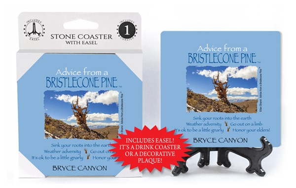 Bristlecone Pine / Advice From - 4" x 4" table coaster - 1 per pack with ea...