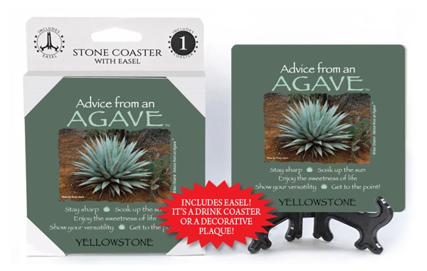 Agave / Advice From - 4" x 4" table coaster - 1 per pack with easel - offic…