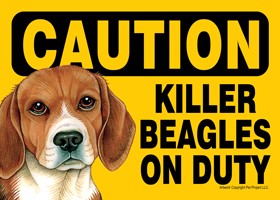 Caution - Beagles - Killer Beagles on duty PLURAL Express Yourself Signs