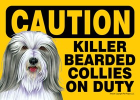 Caution - Bearded Collies - Killer Bearded Collies on duty PLURAL Express Y…