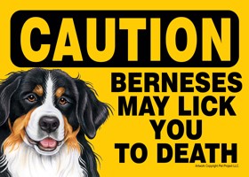 Caution - Berneses may lick you to death PLURAL Express Yourself Signs