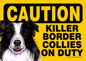 Caution - Border Collies - Killer Border Collies on duty. PLURAL Express Yo…
