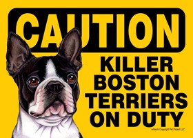 Caution - Boston Terriers - Killer Boston Terriers on duty PLURAL Express Y…