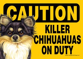 Caution - Chihuahuas - Killer Chihuahuas on duty (Long haired black and tan…