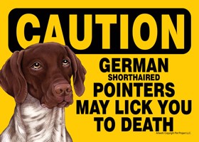 Caution - German Shorthaired Pointers may lick you to death. PLURAL Express…