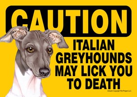 Caution - Greyhounds may lick you to death. (Italian - Grey and white color…