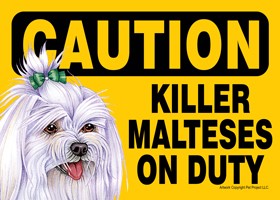 Caution - Malteses - Killer Malteses on duty. (with bow in hair) PLURAL Exp…