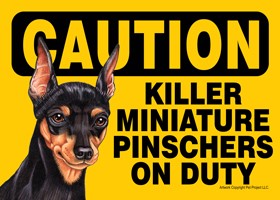 Caution - Miniature Pinschers - Killer Miniature Pinschers on duty - Min Pi…