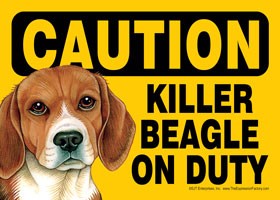 Caution - Beagle - Killer Beagle on duty Express Yourself Sign