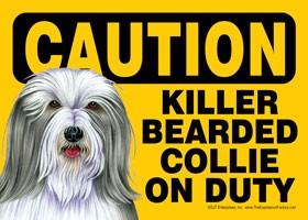 Caution - Bearded Collie - Killer Bearded Collie on duty Express Yourself Sign