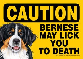 Caution - Bernese may lick you to death Express Yourself Sign