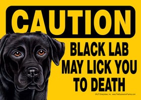 Caution - Black Lab may lick you to death                                  …