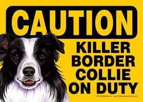 Caution - Border Collie - Killer Border Collie on duty. Express Yourself Sign
