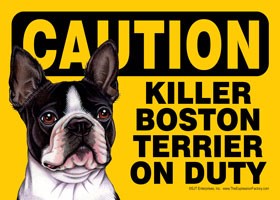 Caution - Boston Terrier - Killer Boston Terrier on duty Express Yourself Sign