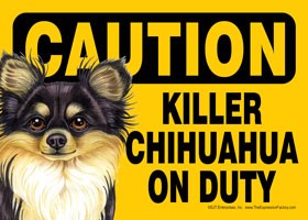 Caution - Chihauhau - Killer Chihuahua on duty (Long haired black and tan v…