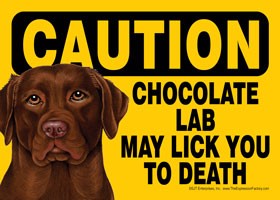 Caution - Chocolate Lab may lick you to death. Express Yourself Sign