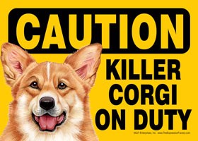 Caution - Corgi - Killer Corgi on duty Express Yourself Sign