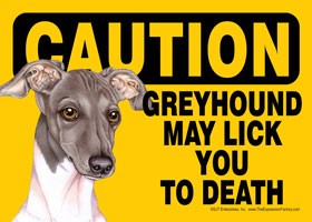Caution - Greyhound may lick you to death. (Italian - Grey and white color …
