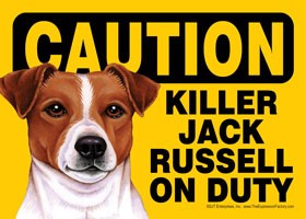Caution - Jack Russell - Killer Jack Russell on duty Express Yourself Sign