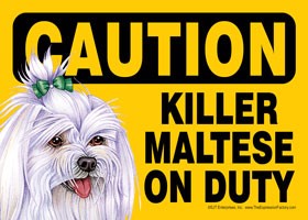 Caution - Maltese - Killer Maltese on duty. (with bow in hair) Express Your…