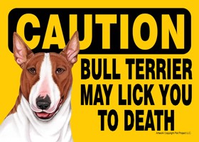 Caution - Bull Terrier may lick you to death (Brown and white) Express Your…
