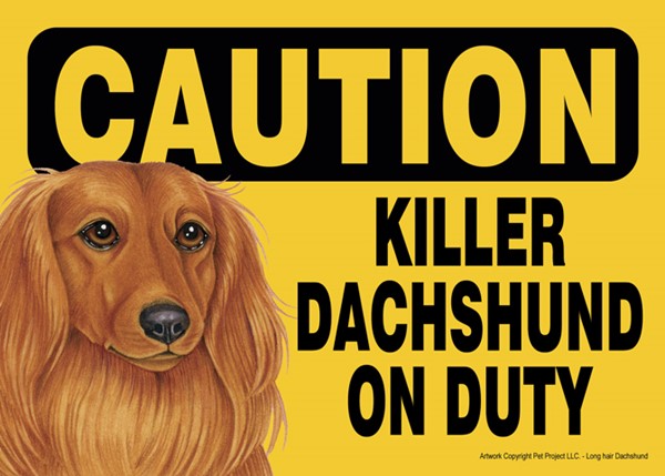 Caution - Dachshund - Killer Dachshund on duty (long haired version.) Expre…