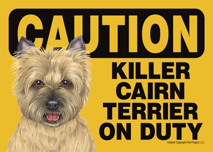 Caution - Cairn Terrier - Killer Cairn Terrier on duty (tan, blondish color…