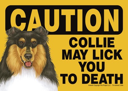 Caution - Collie - Collie may lick you to death Express Yourself Sign Tri-C…