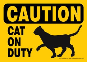 CAUTION - Cat on duty Express Yourself Sign