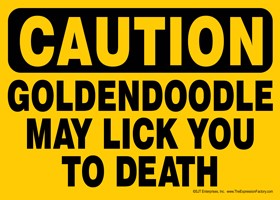 CAUTION - Goldendoodle may lick you to death Express Yourself Sign