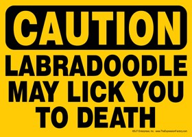 CAUTION - Labradoodle may lick you to death Express Yourself Sign