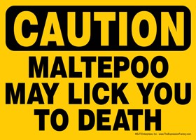 CAUTION - Maltepoo may lick you to death Express Yourself Sign