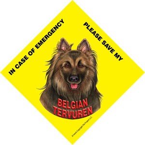 In Case of Emergency Please Save my Belgian Tervuren / Save My Pet signs wi…