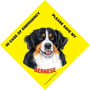 In Case of Emergency Please Save my Bernese  / Save My Pet signs with sucti…