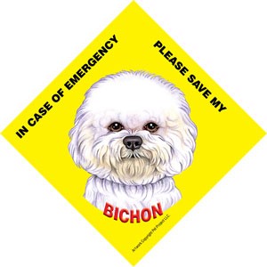 In Case of Emergency Please Save my Bichon / Save My Pet signs with suction cup