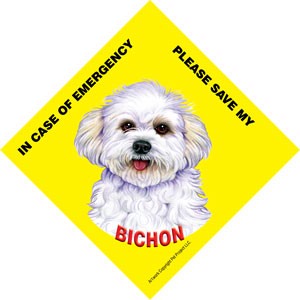 In Case of Emergency Please Save my Bichon (puppy cut / short hair cut) / S…