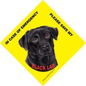 In Case of Emergency Please Save my Black Lab / Save My Pet signs with suct…